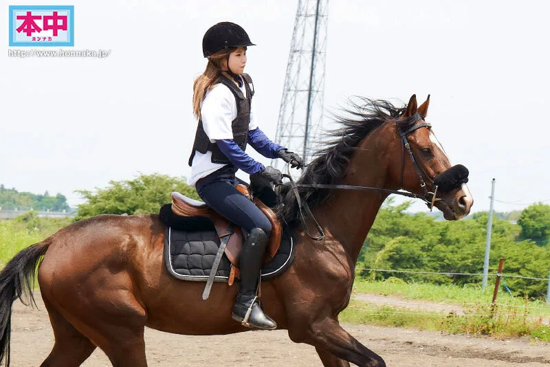 雪川桜花作品NNPJ-543详细介绍与封面信息一览-游戏花园