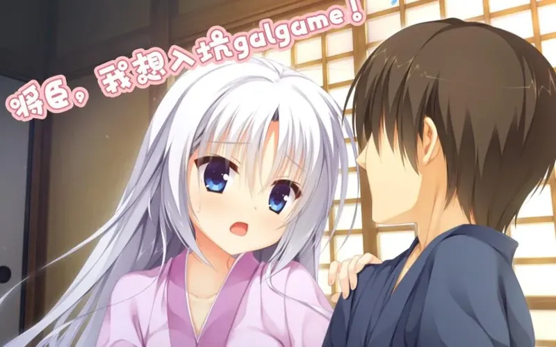 [SLG/PC/AI汉化] 完美隐藏！ [80M/百度微云]-Domino