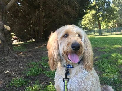 Bazooka Big-Bada-Boom Bishop角色图片