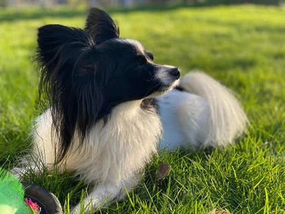 Danger 游戏角啬设计