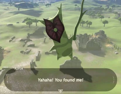 Korok seeds in the game