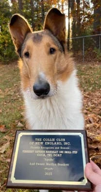 Apollo，由Titan Forge UI高级艺术家Marilyn Brackett提交