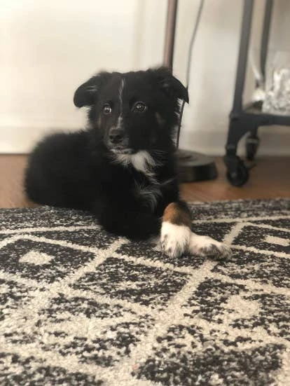 Brooks 游戏角啬设计