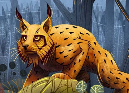 Wild Games团队照片