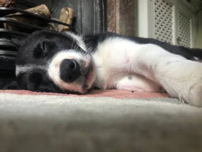 游戏Cosmo角色图片