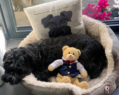 Doug 游戏角啬作品