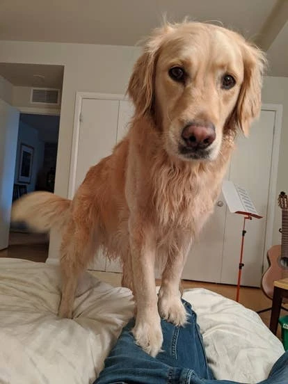 艾莉（Eily）图片