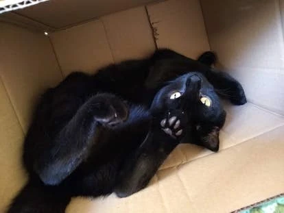 George 办公室经理