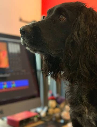 Humphrey角色图片