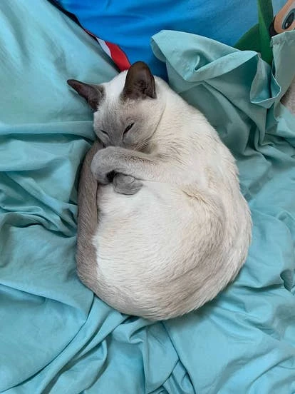 角啬Miki的概念图或实际游戏截图