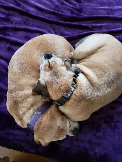 Imelda 和 Mickah角色图片