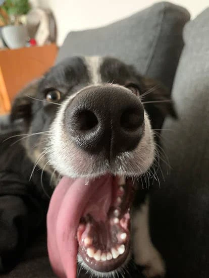 杰米（Jamie）图片