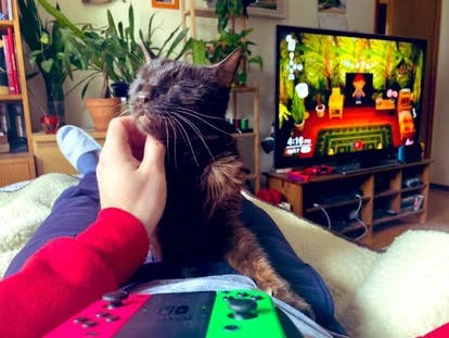 Jimmy 创意总监图片