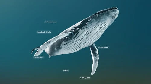 Epic收购AI驱动的三维资产标记技术Loci，增强虚拟世界数字资产管理