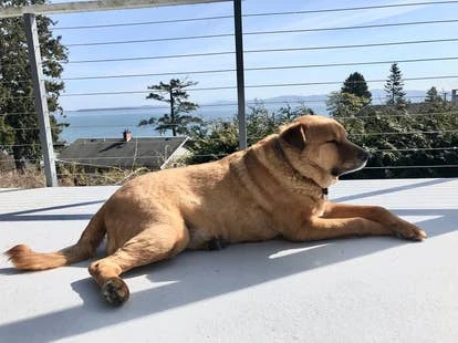 Luke Devolver Digital 创始人