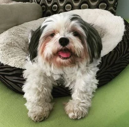 Max 游戏角啬作品