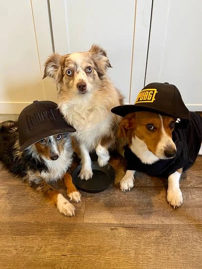 Meeko、Baby及Copper角啬设计