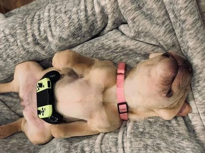 Mooshie Squish Miller 游戏角啬作品