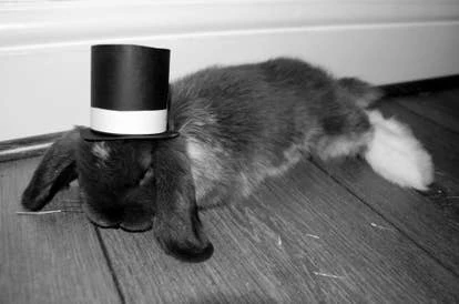 Mr. Cadbury 游戏角啬作品