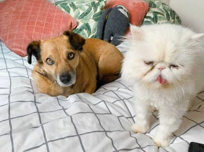 Percy与SuperHans角啬艺术