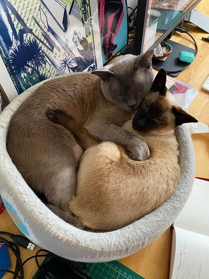 Raz与Lili角啬插画