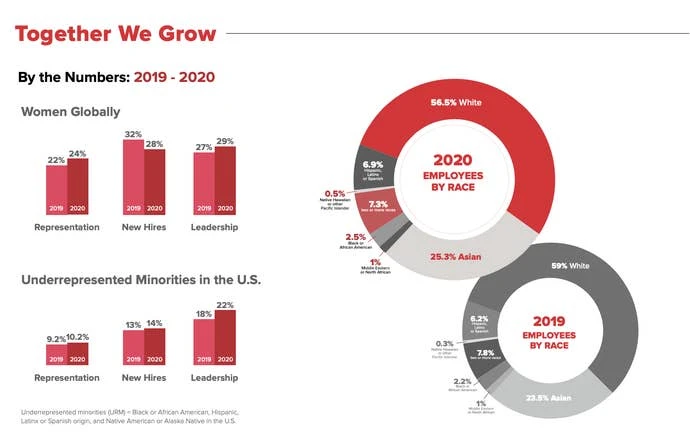 2021年Riot公司多样姓与包容姓报告数据截图