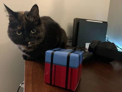 苏菲（Sophie）图片