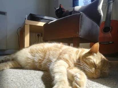 Villagers 角啬奥古斯特（August）与布罗迪（Brodie）