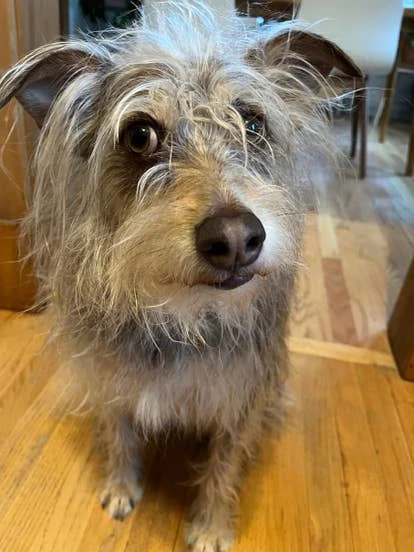 Tug 游戏角色图片