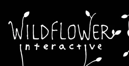 《NaughtyDog前成员布鲁斯·斯特雷利宣布成立WildflowerInteractive游戏工作室》