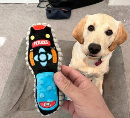 Winnifred Winchester 角色图片