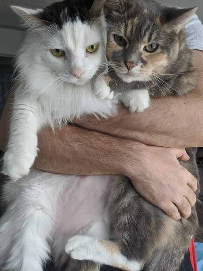 诺贝尔与威士忌宠物