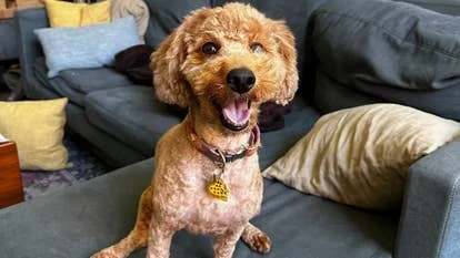 GamesIndustry.biz再次陷入困境：游戏行业很新动态解析