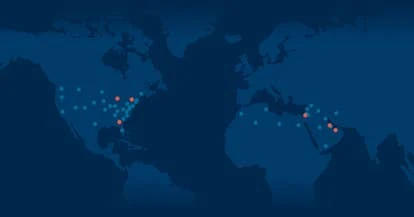 美国国务院支持虚拟交流项目，促进全球青年开发者合作交流