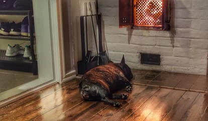 Dreamloop Games的Ghibli