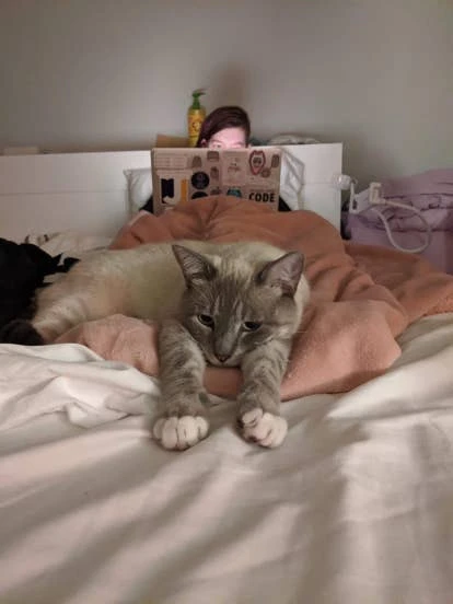 Jiabber 游戏截图