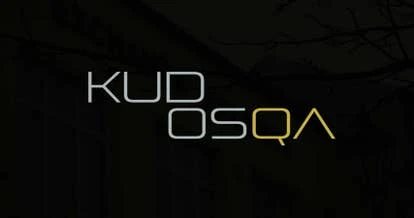 Kudos QA团队图片