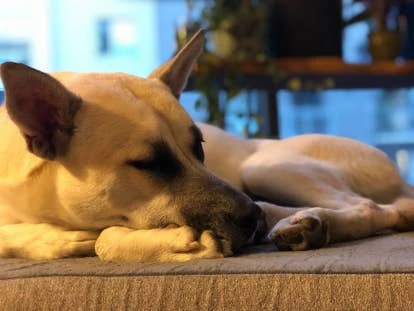 莉莉·汤姆林（Lily Tomlin）图片