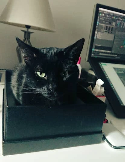 Wonderstruck Games 提交的宠物Loki