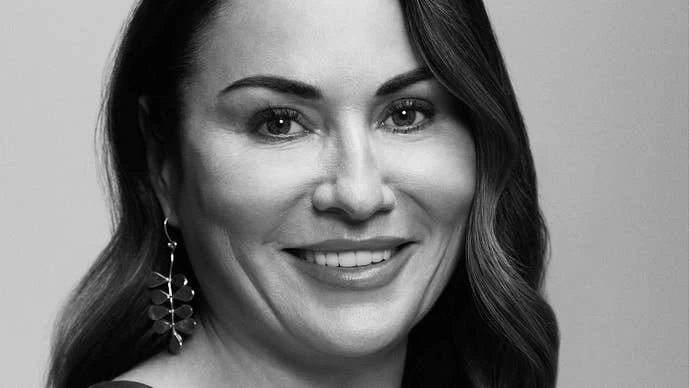 Persson在会议上发言