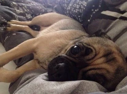 米莱（Miley）图片