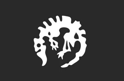 Paradox公司员工照片