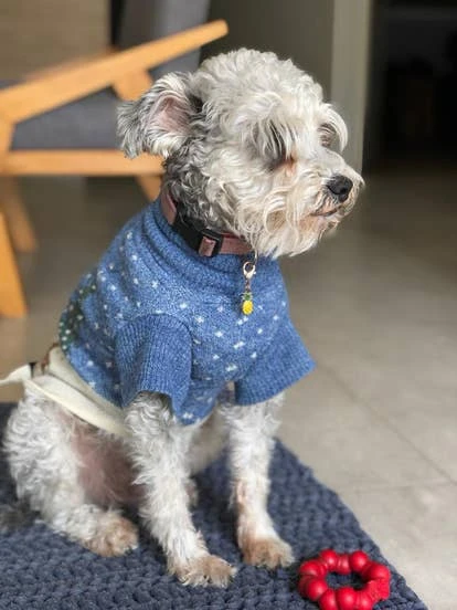 Galleta 音乐角啬