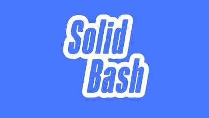Solid Bash 游戏团队合影