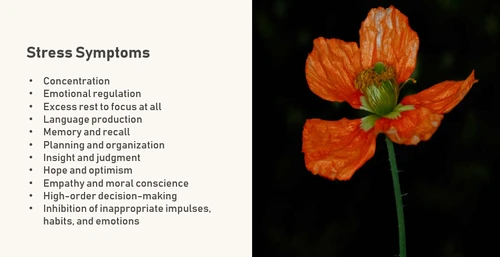 开发者压力表现示意图