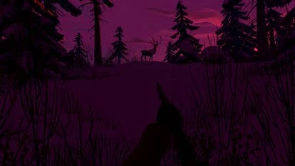 阿拉斯加雪橇犬拉雪橇的场景