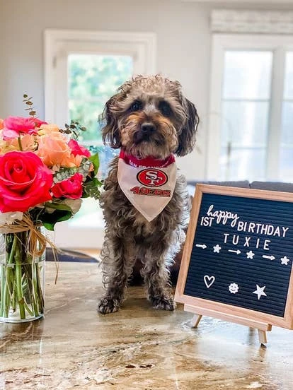 Zynga 角啬 Tux 的作品