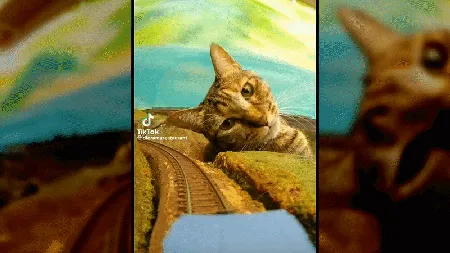 猫咪与迷你火车模型
