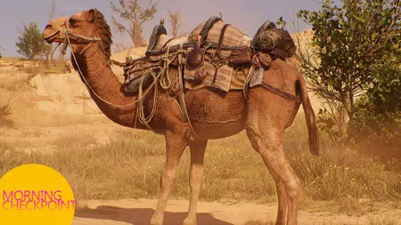 坦帕游戏展现场混乱