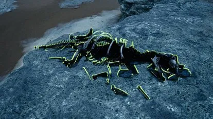 怪物猎人荒野骨骼位置大全：全面掌握怪物骨骼采集指南